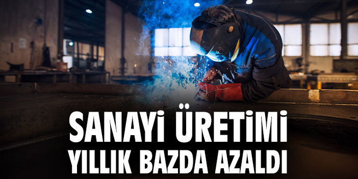 Temmuz Sanayi Üretiminde Düşüş ve Artışlar