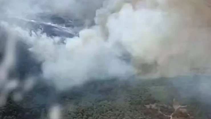 Foça’da Çöplük Yangını Ormana Sıçradı! Müdahale Devam Ediyor