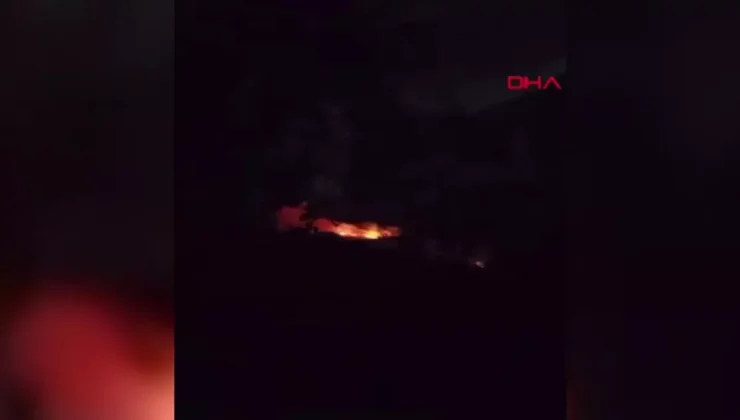 Gaziemir’de Orman Yangını: Ekipler Mücadele Ediyor!