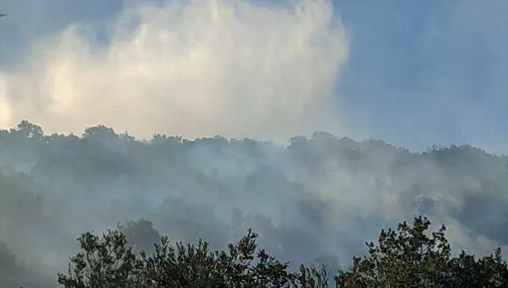 Ödemiş’te Tarım Arazisinde Yangın Paniği