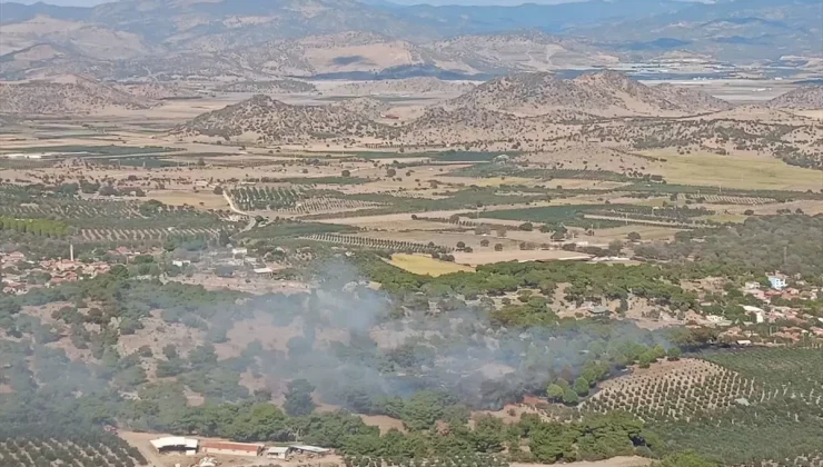 Dikili’de Ormana Sıçrayan Yangın Kontrol Altında