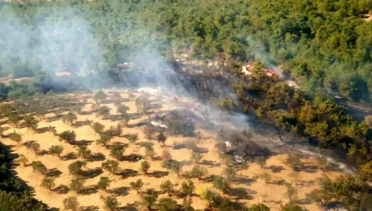 İzmir’deki Yangın Hızla Kontrol Altına Alındı!