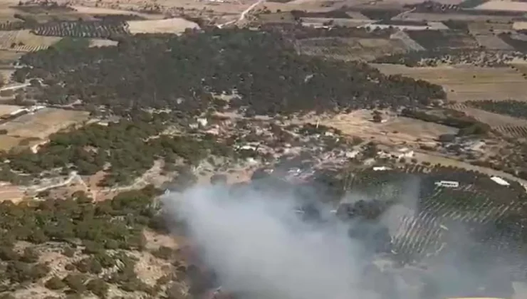 Dikili’de Tarım Arazisinde Yangın: Müdahale Sürüyor