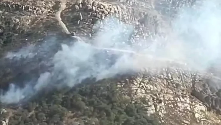 Foça’da Orman Yangını: Ekipler Mücadele Ediyor