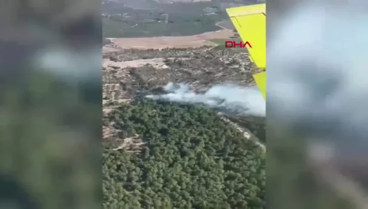İzmir’de Tarım Yangını Ormana Sıçradı!