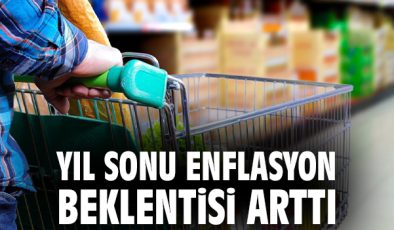 Enflasyon Beklentileri Yükseldi, Döviz Kuru Düşüşte!
