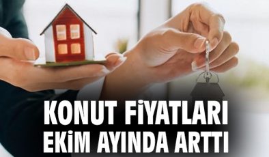 Konut Fiyat Endeksi Ekim’de Yüzde 2,1 Arttı!