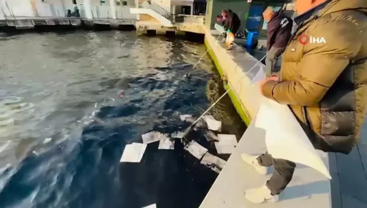 Körfezde Petrol Kirliliği: Deniz Siyah Yağla Kaplandı