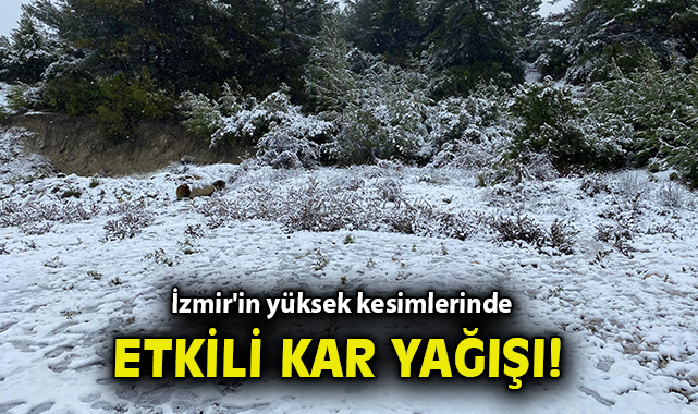 İzmir’in Beyaz Dönemi: Kar Yağışıyla Büyüledi!