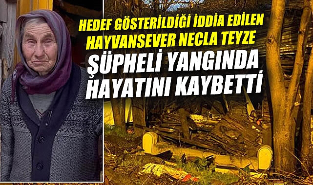 Hayvanseverlerden Betrayal: Yangın ve Hedef Gösterme