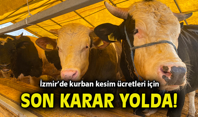 Kurban Bayramı İçin Kesim Fiyatları Henüz Belli Değil