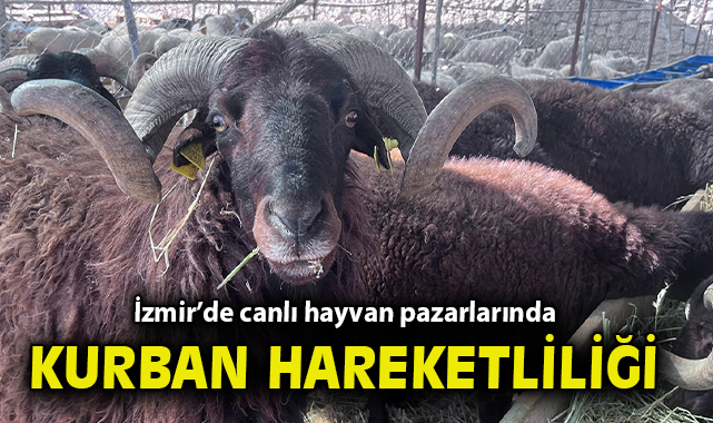 Kurban Pazarında Fiyatlar Yükseliyor, Hareketlilik Artıyor!