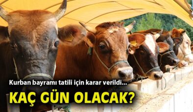 Kamu Çalışanlarına Kurban Bayramı İzni Müjdesi!