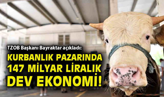 Kurbanlık Fiyatları Yükseliyor: Ekonomi Etkileniyor!