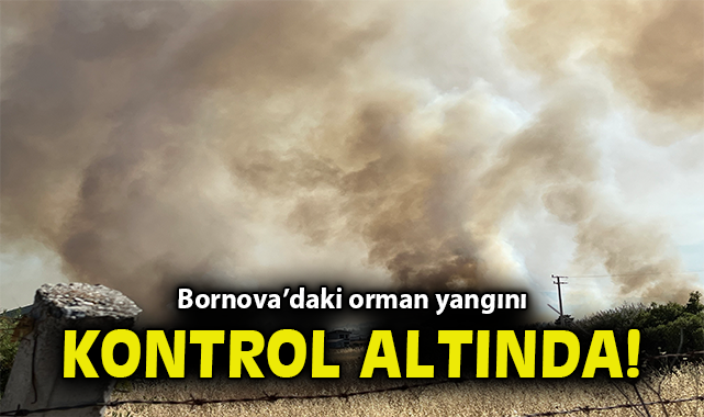 İzmir’de Orman Yangını: 3 Ev, 3 Gözaltı!
