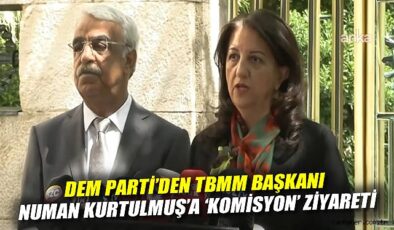 DEM Parti’den Meclis Komisyonu Talepleri