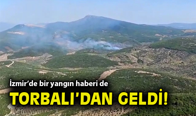 Torbalı’da Orman Yangını: Mücadele Devam Ediyor!