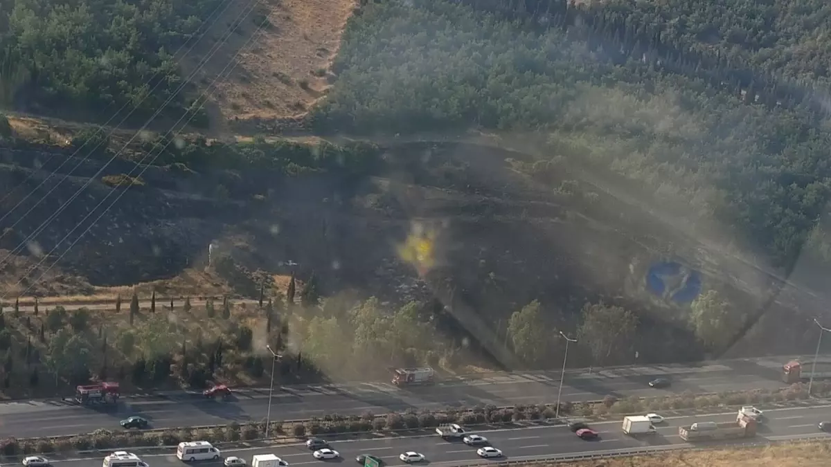 İzmir’de TIR Yangını Ormana Sıçradı, Ekipler Mücadele Ediyor!