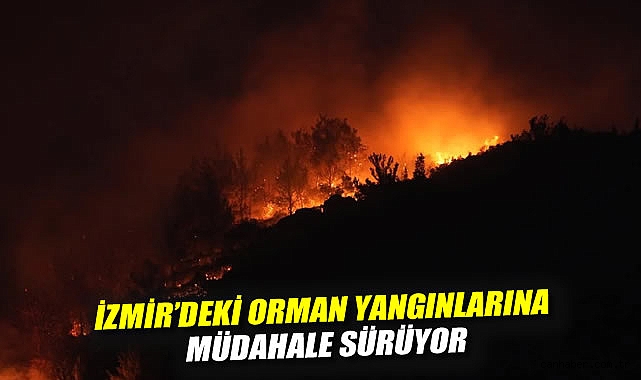 İzmir’de Orman Yangınları Korkutuyor!