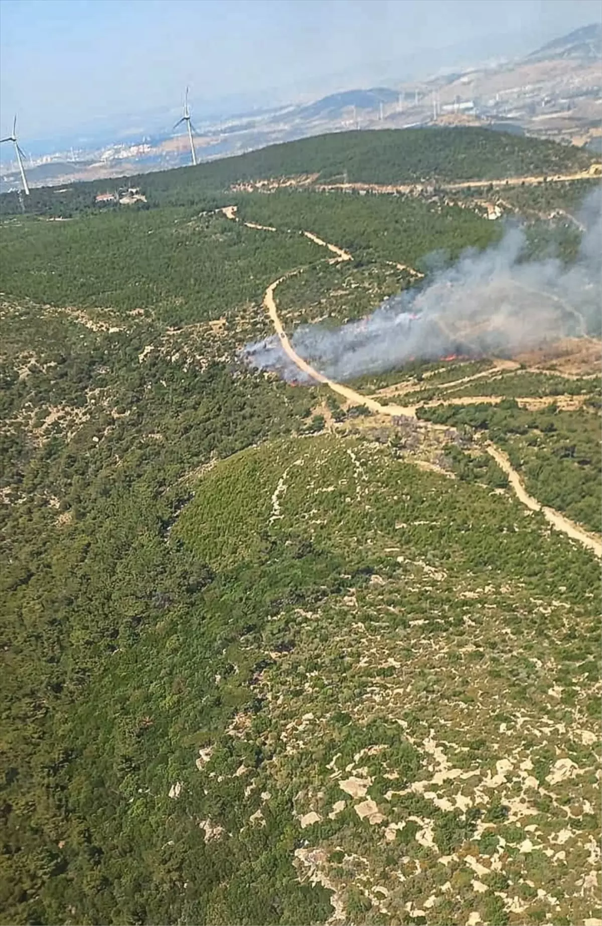 Foça’da Orman Yangınına Hızla Müdahale Ediliyor!