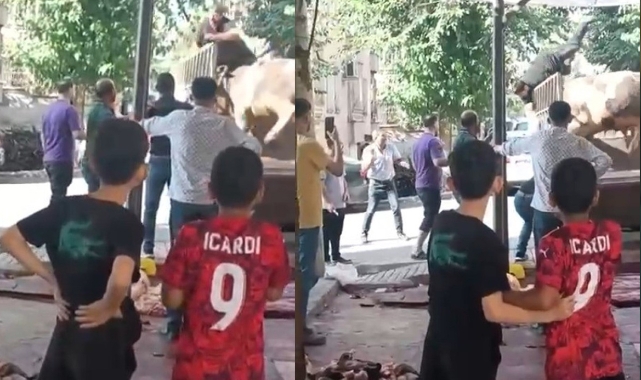 Boğa Saldırısı: Kasap Yaralandı, Olay Kamerada!