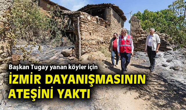 Ödemiş Yangınında Büyük Hasar: Yeniden İnşa Edilecek!