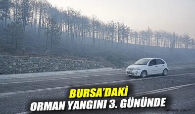Orman Yangını 3. Günde Kontrol Altında!