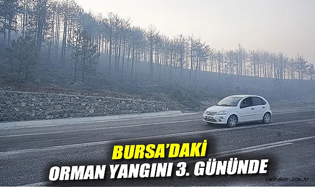 Orman Yangını 3. Günde Kontrol Altında!