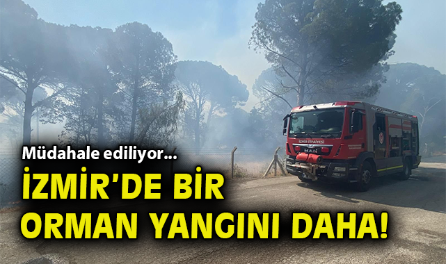 İzmir’de Anız Yangını Korkuttu: Ekipler Seferber!