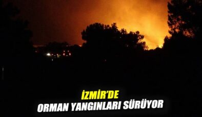 Çeşme ve Ödemiş’te Orman Yangınları Alarm Veriyor!