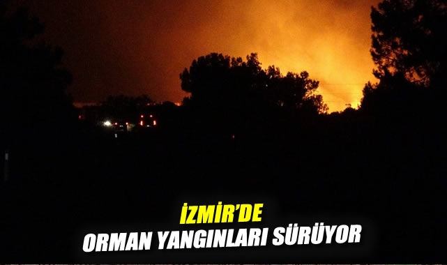 Çeşme ve Ödemiş’te Orman Yangınları Alarm Veriyor!