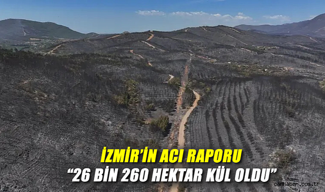 İzmir’deki Yangınlar Orman ve Tarımı Vurdu!
