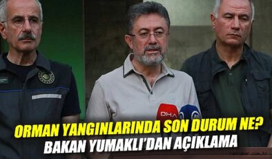 Orman Yangınlarında Son Durum: Teyakkuz Devam Ediyor