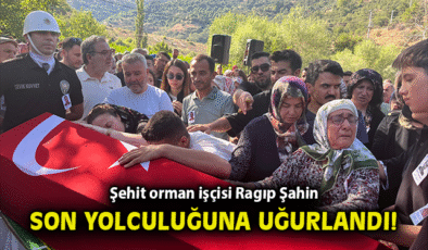 Orman Kahramanı Ragıp Şahin Şehit Oldu!