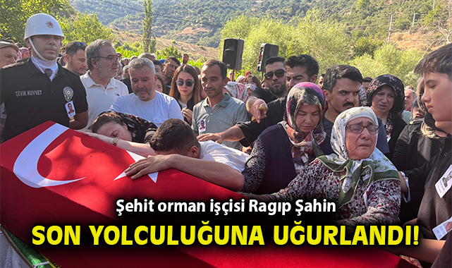Orman Kahramanı Ragıp Şahin Şehit Oldu!