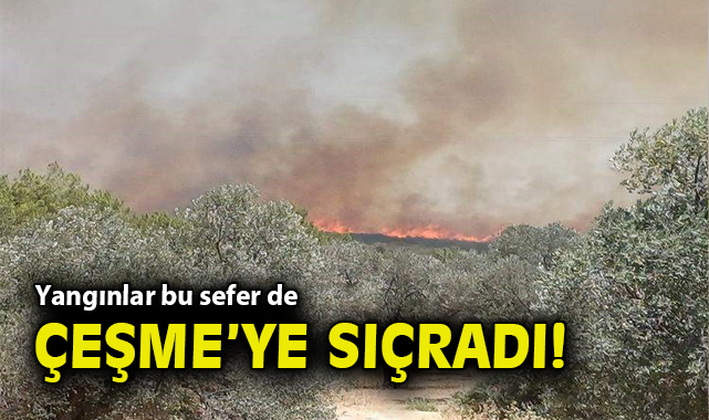Çeşme’de Orman Yangını Endişe Veriyor!