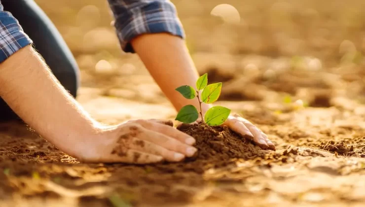 Hızır Haşim Kaya’dan Ağaç Dikme Etkinliği Çağrısı