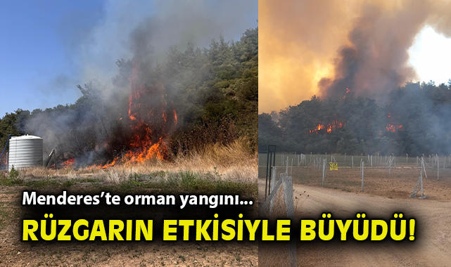 Menderes’te Yangın: Havadan ve Karadan Müdahale Başladı
