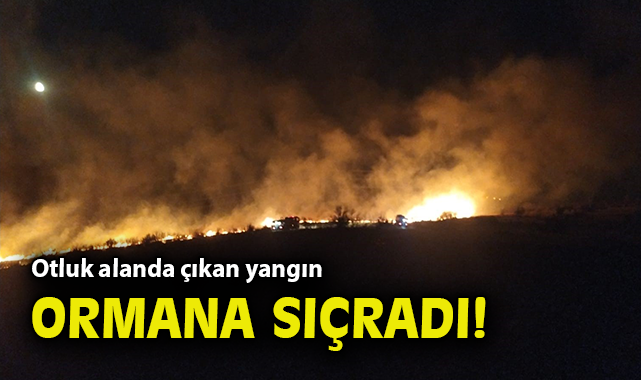 Kalabak ve Çoraklar’da Yangın Paniği!
