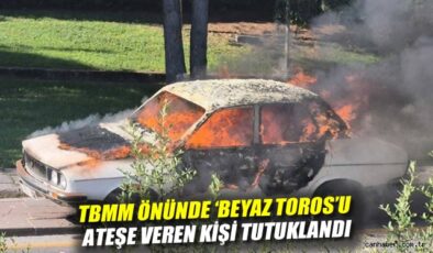 TBMM Önü’nde Araç Yakan Şahıs Tutuklandı