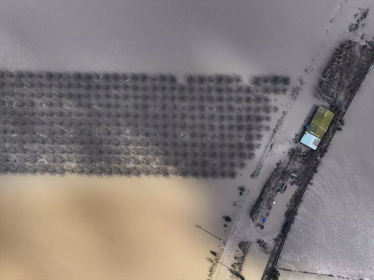 Menemen’de Tarım Arazileri Taşkınla Sular Altında!