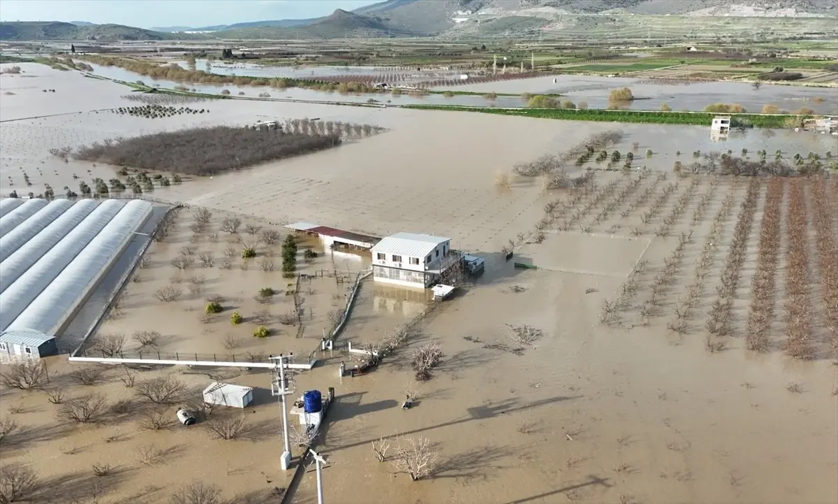 Menemen’de Taşkın: 100 Tavuk Kurtarıldı!