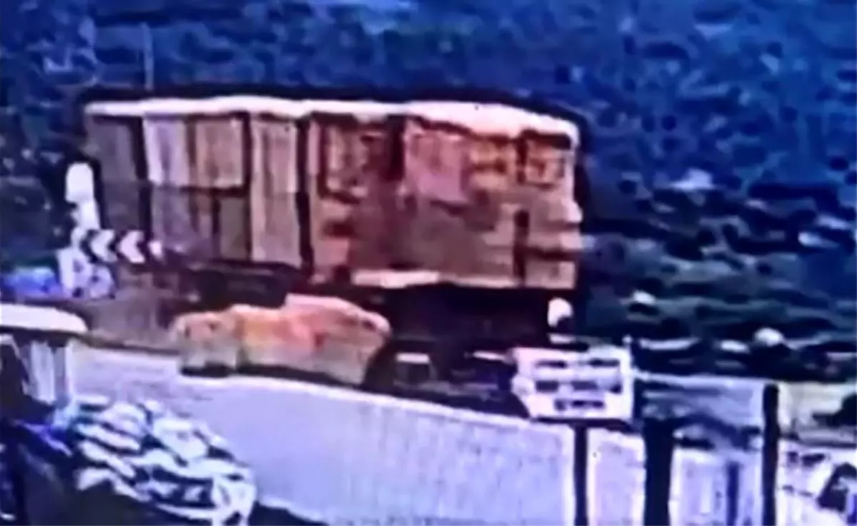 Tırdan Düşen Saman Balyası Can Aldı!