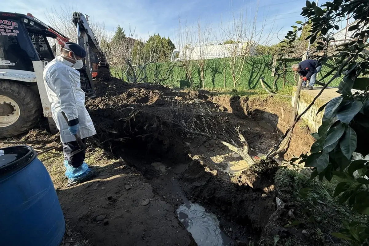 Kayıp Kadının Gizemli Ölümü: 4 Şüpheli Gözaltında!