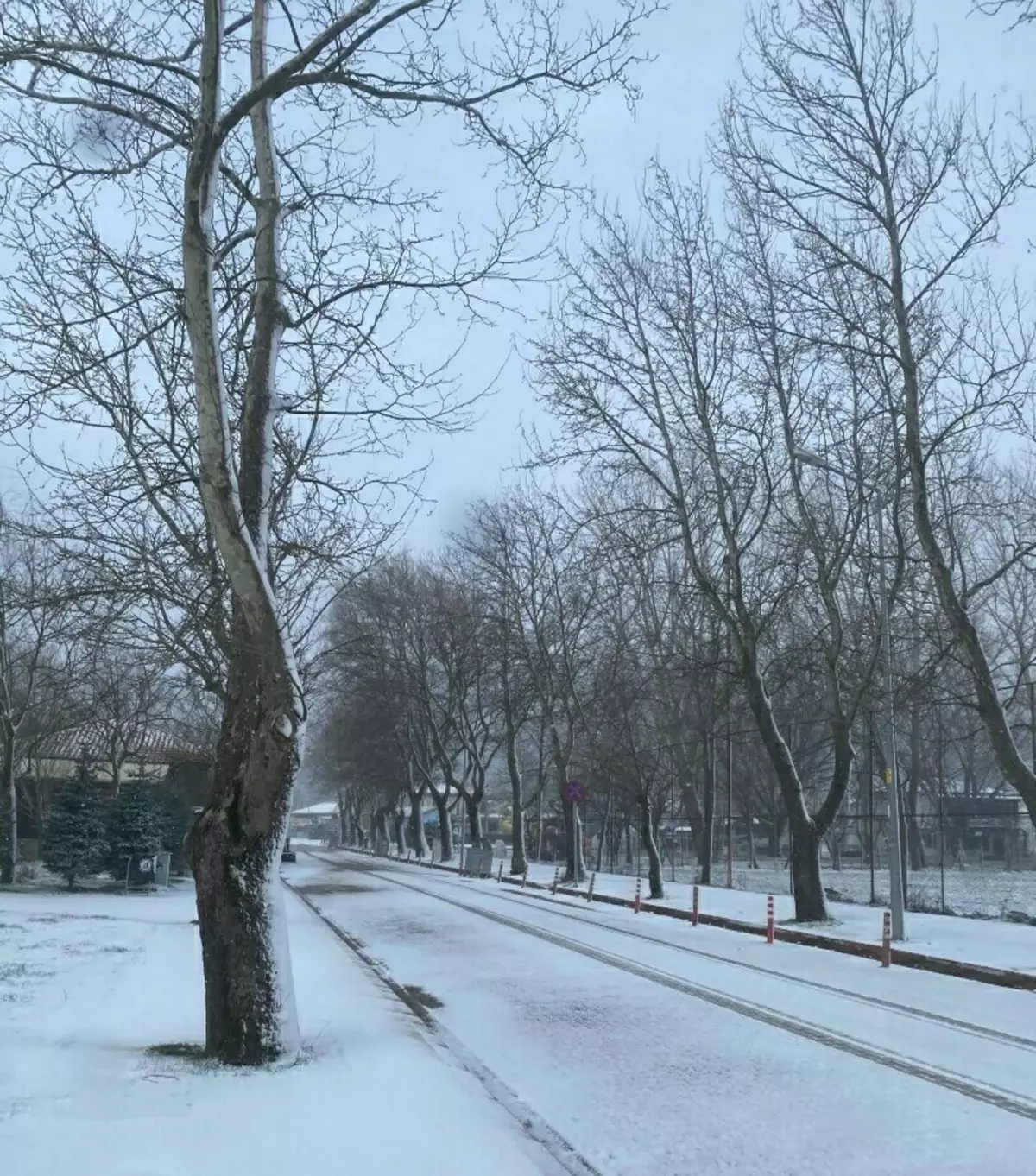 İzmir Yüksek Kesimlerine Kar Yağdı! Beyaz Örtü geldi!