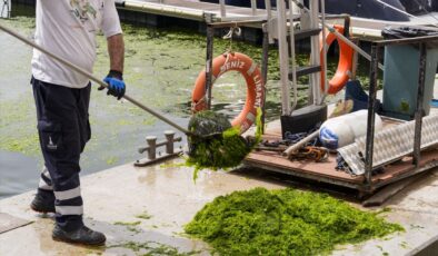İzmir Körfezi Yeni Yosun Penalizesiyle Karşılaştı!