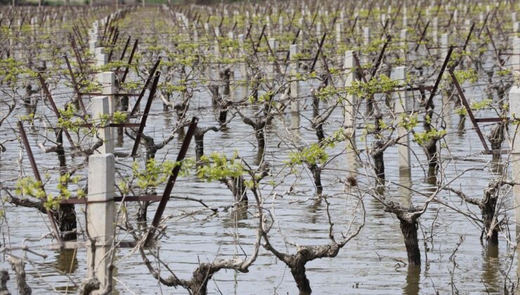 İzmir’de Sel Felaketi, Çiftçiler TARSİM’i Bekliyor
